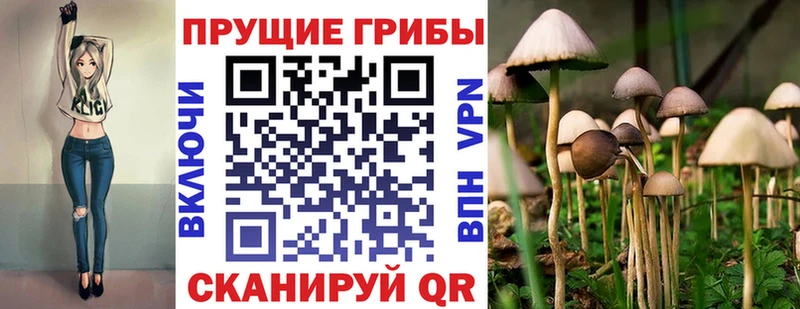 Купить где  Кондопога  Псилоцибиновые грибы GOLDEN TEACHER 